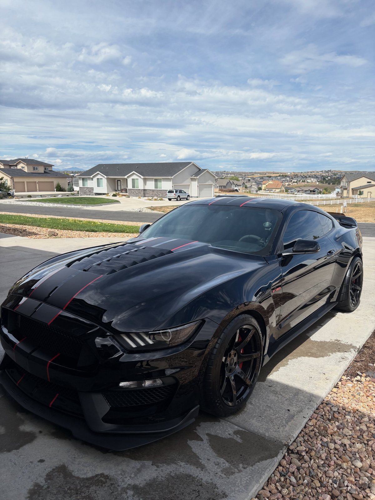 Ford GT350 - premium exterior detail by SBV Auto Detail, Denver CO